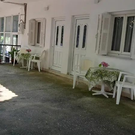 Avli